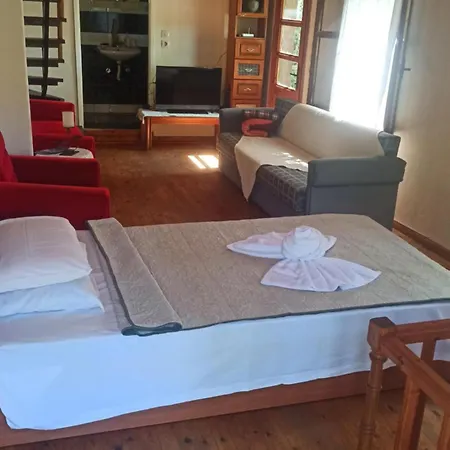 Kazaview Holiday home